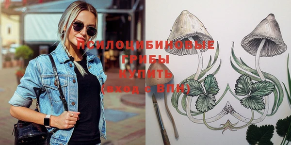 Альфа ПВП Липки