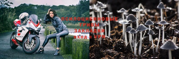 Альфа ПВП Липки