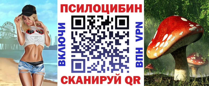 Галлюциногенные грибы мицелий  hydra ссылки  Егорьевск 