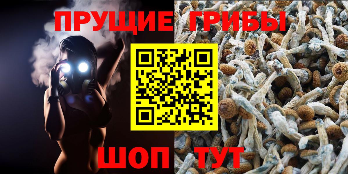 Галлюциногенные грибы GOLDEN TEACHER Егорьевск