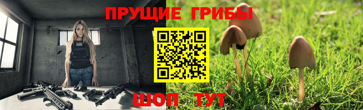 Егорьевск  Псилоцибиновые грибы Cubensis  Вход с VPN 