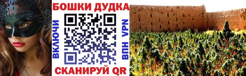 Каннабис индика Егорьевск